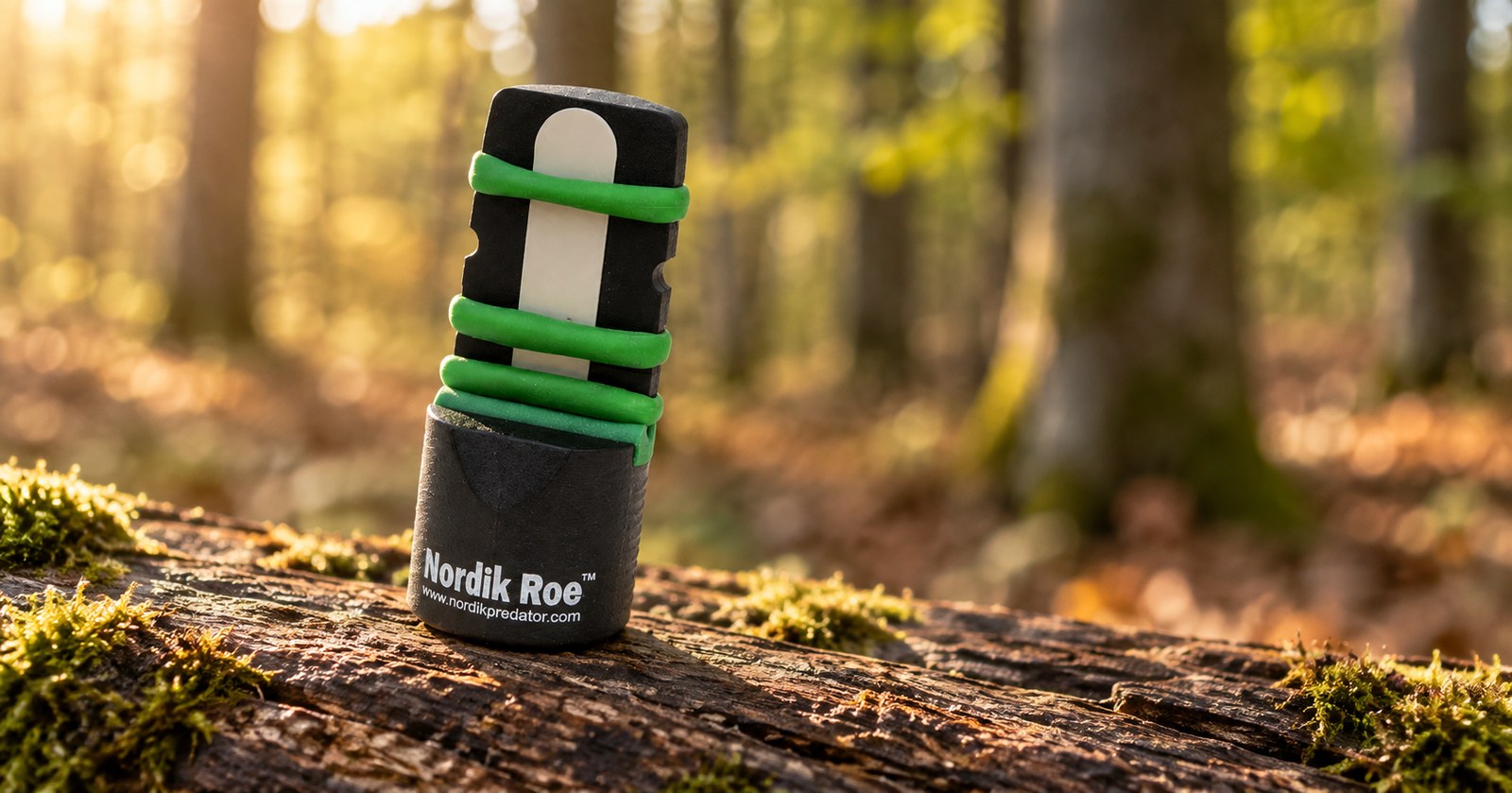 Nordik Roe Rehblatter auf einem bemoosten Stamm im Herbstwald